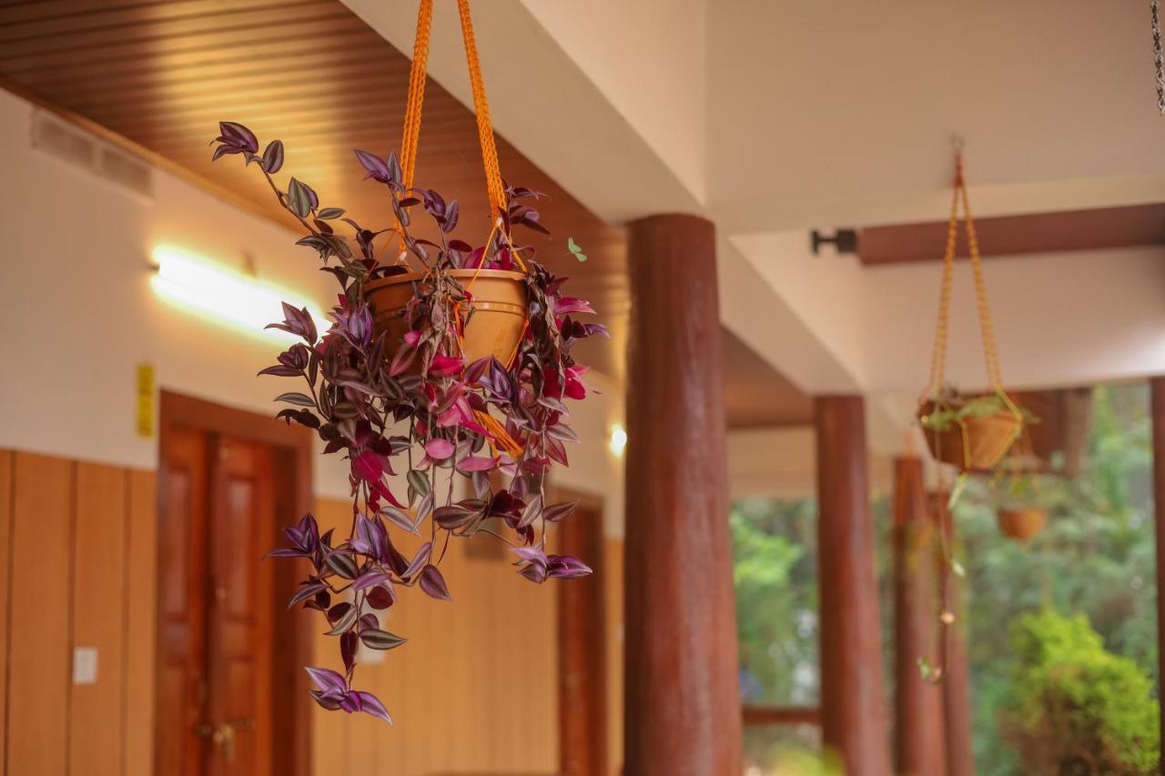 Swastha Plantation Homestay Kaniyāmbetta Kültér fotó