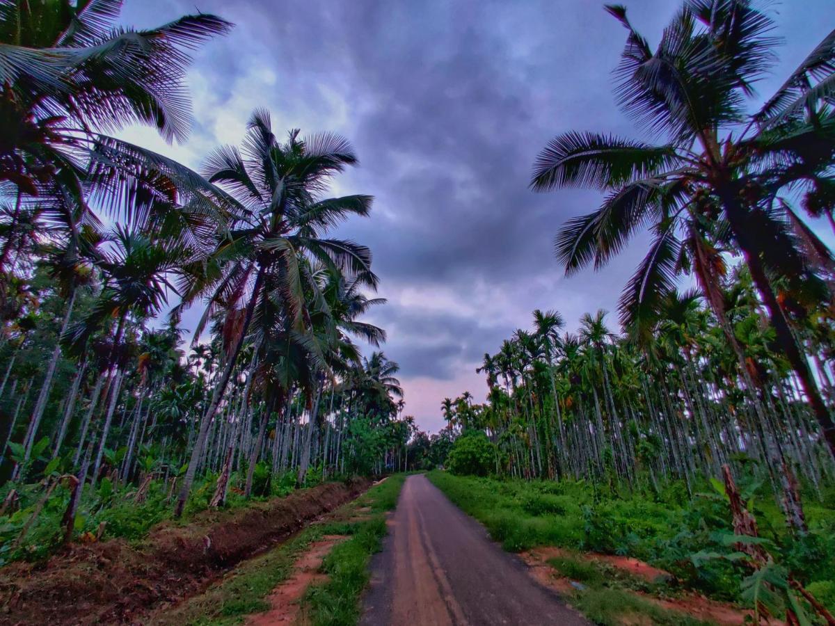 Swastha Plantation Homestay Kaniyāmbetta Kültér fotó