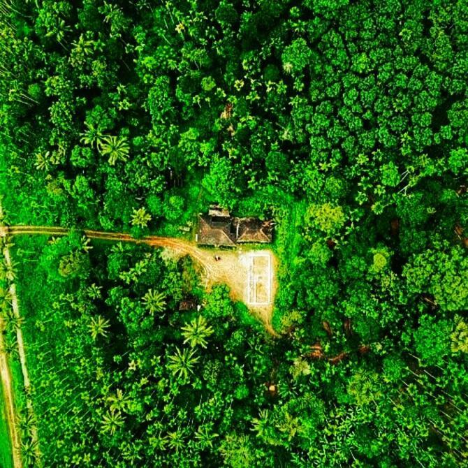 Swastha Plantation Homestay Kaniyāmbetta Kültér fotó