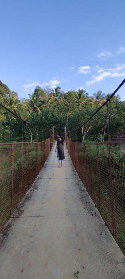 Swastha Plantation Homestay Kaniyāmbetta Kültér fotó